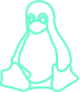 LINUX