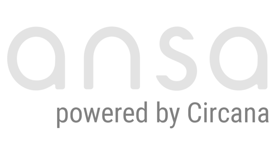 ansa